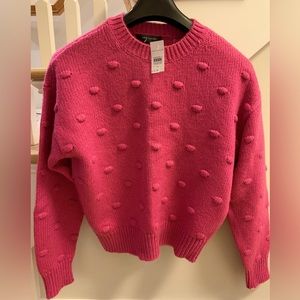 Ann Taylor Pink Popcorn Sweater, M